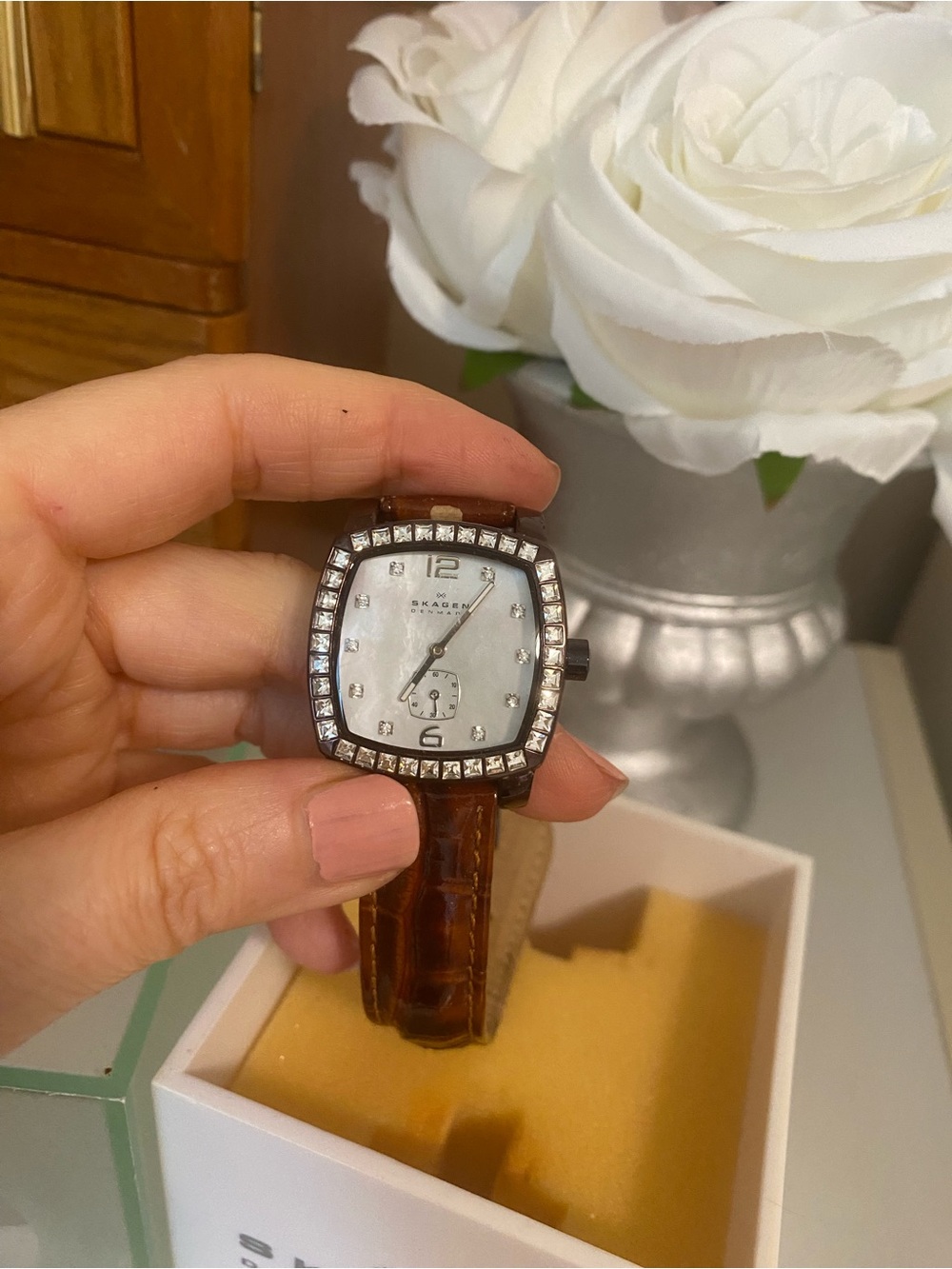 Skagen Women's Crystal-Trim Watch with Brown Leather Strap
